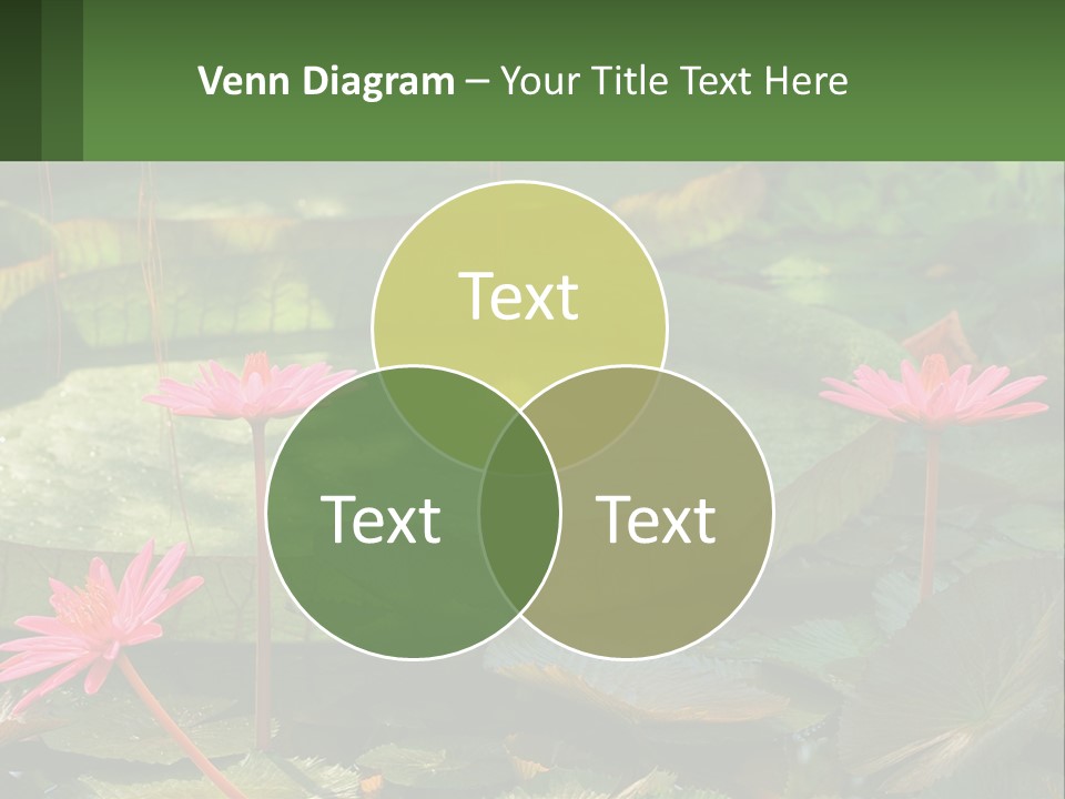 Card Hat Stamp PowerPoint Template