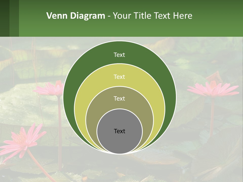 Card Hat Stamp PowerPoint Template