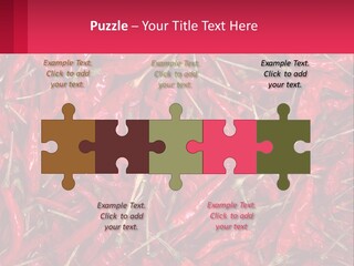 Element Card Cupcake PowerPoint Template