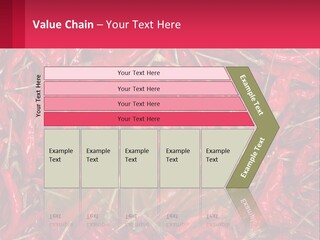 Element Card Cupcake PowerPoint Template