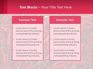 Element Card Cupcake PowerPoint Template