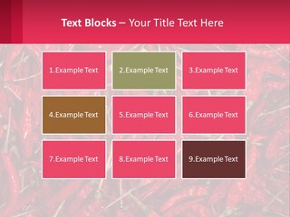 Element Card Cupcake PowerPoint Template