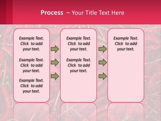 Element Card Cupcake PowerPoint Template