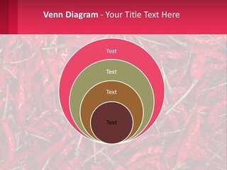 Element Card Cupcake PowerPoint Template