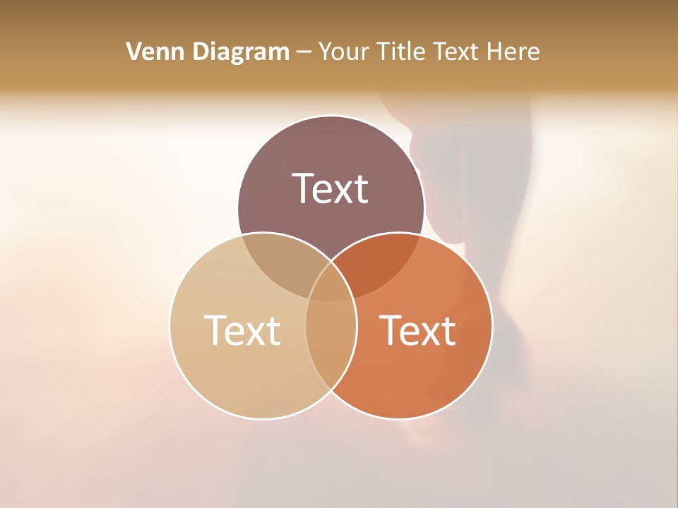 Vector Bird Decor PowerPoint Template