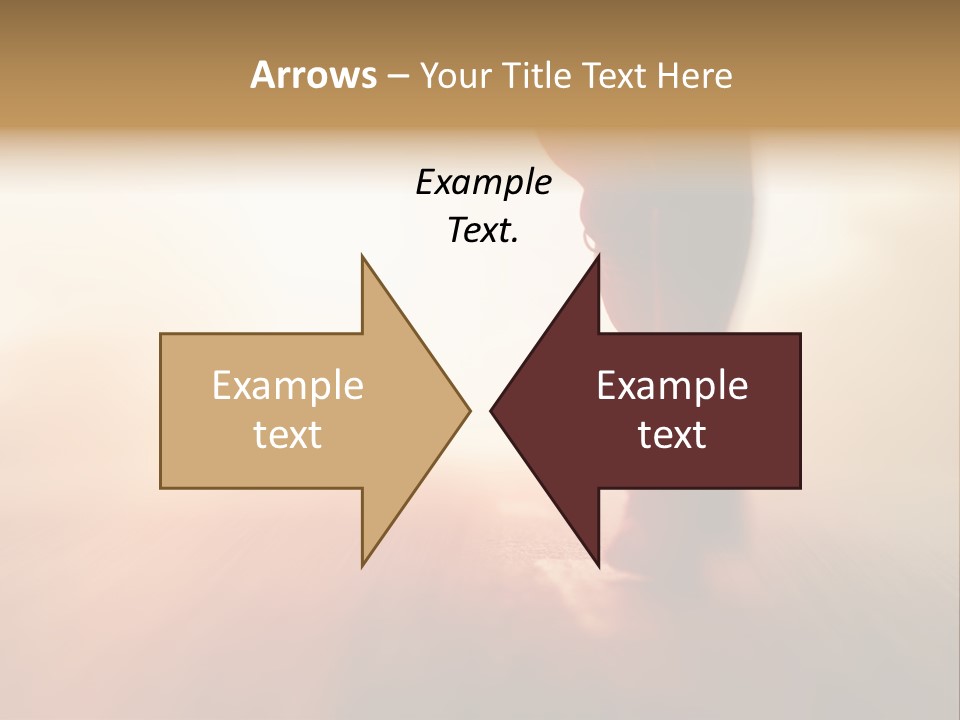 Vector Bird Decor PowerPoint Template