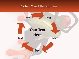 Icon Celebration Star PowerPoint Template