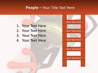 Icon Celebration Star PowerPoint Template