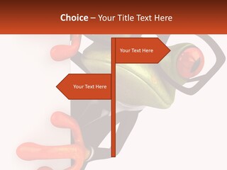 Icon Celebration Star PowerPoint Template