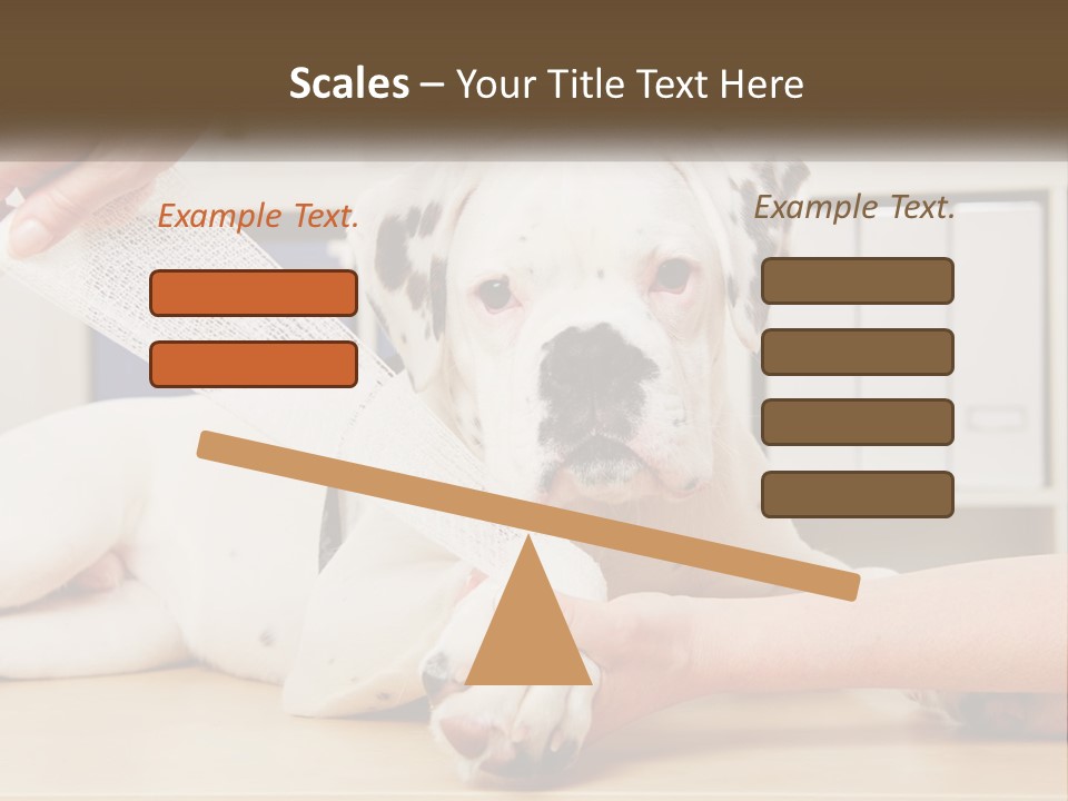 Seamless Greeting Birthday PowerPoint Template