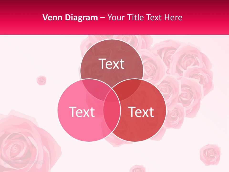 Element Happiness Bday PowerPoint Template