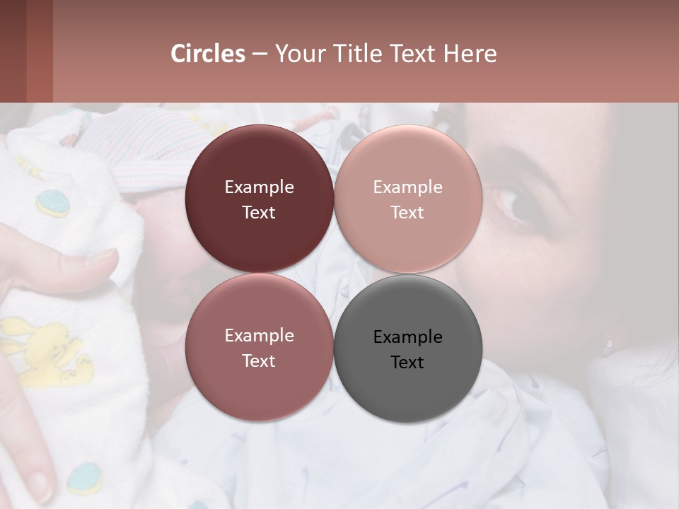 Box Cupcake Decorative PowerPoint Template