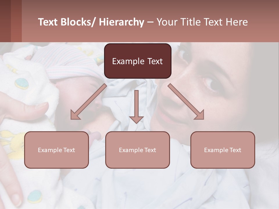 Box Cupcake Decorative PowerPoint Template