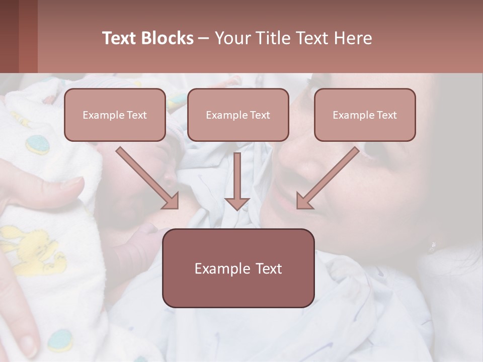 Box Cupcake Decorative PowerPoint Template