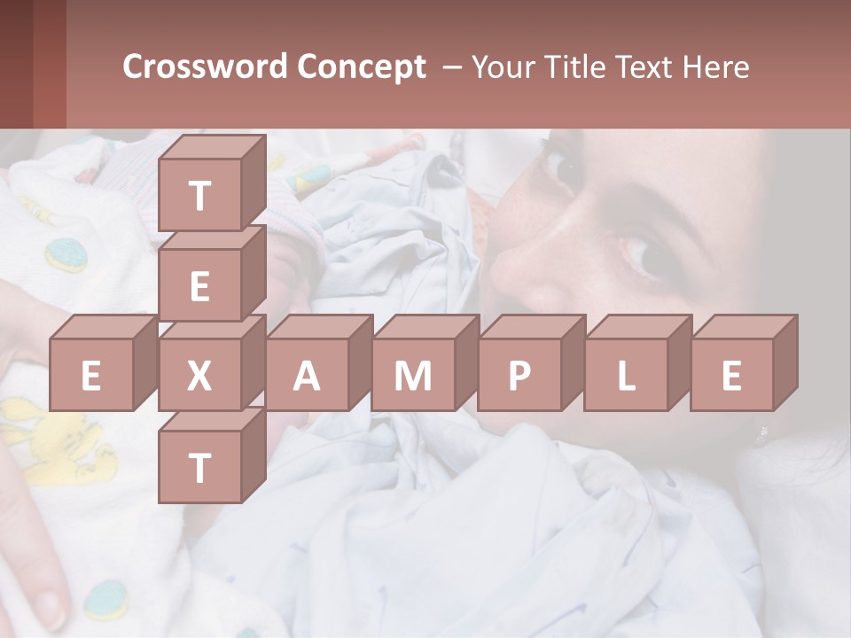 Box Cupcake Decorative PowerPoint Template