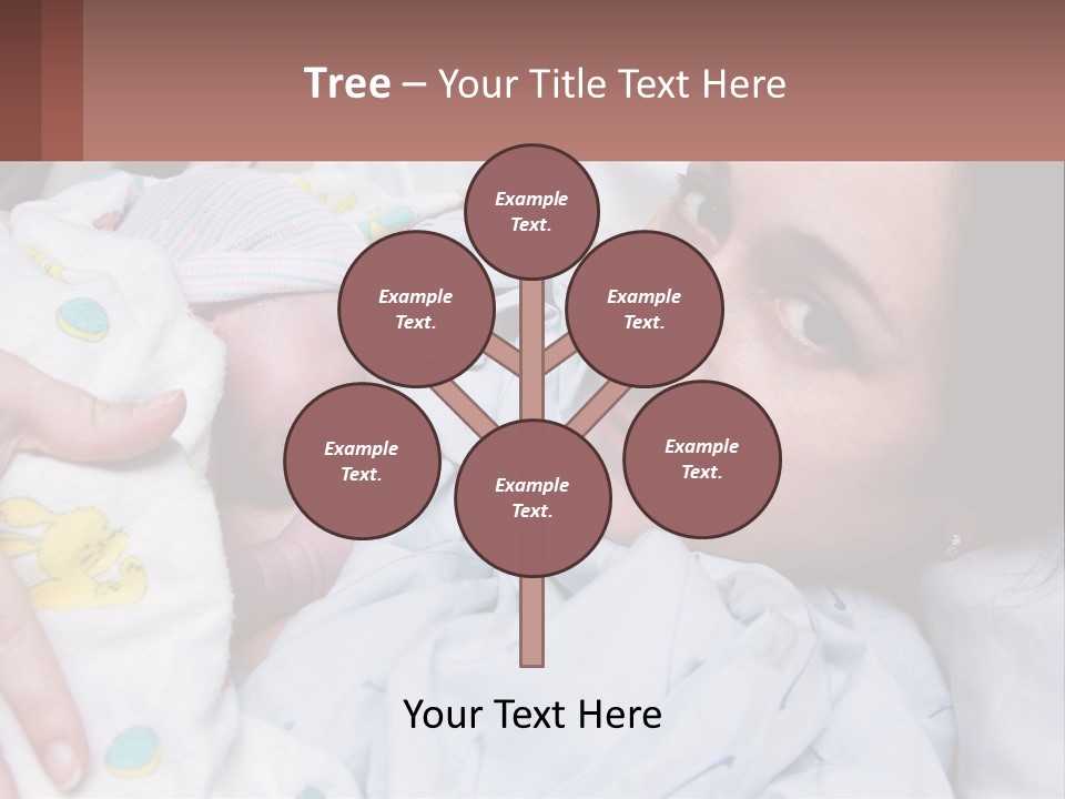 Box Cupcake Decorative PowerPoint Template