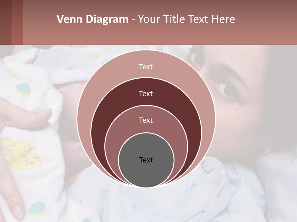 Box Cupcake Decorative PowerPoint Template