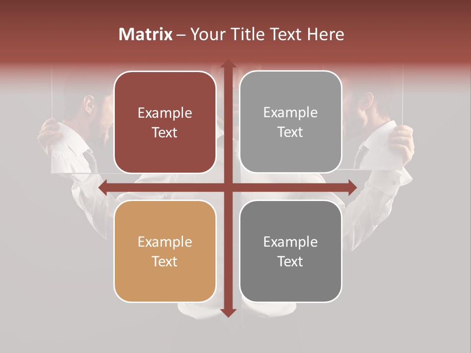 Bird Set Children PowerPoint Template