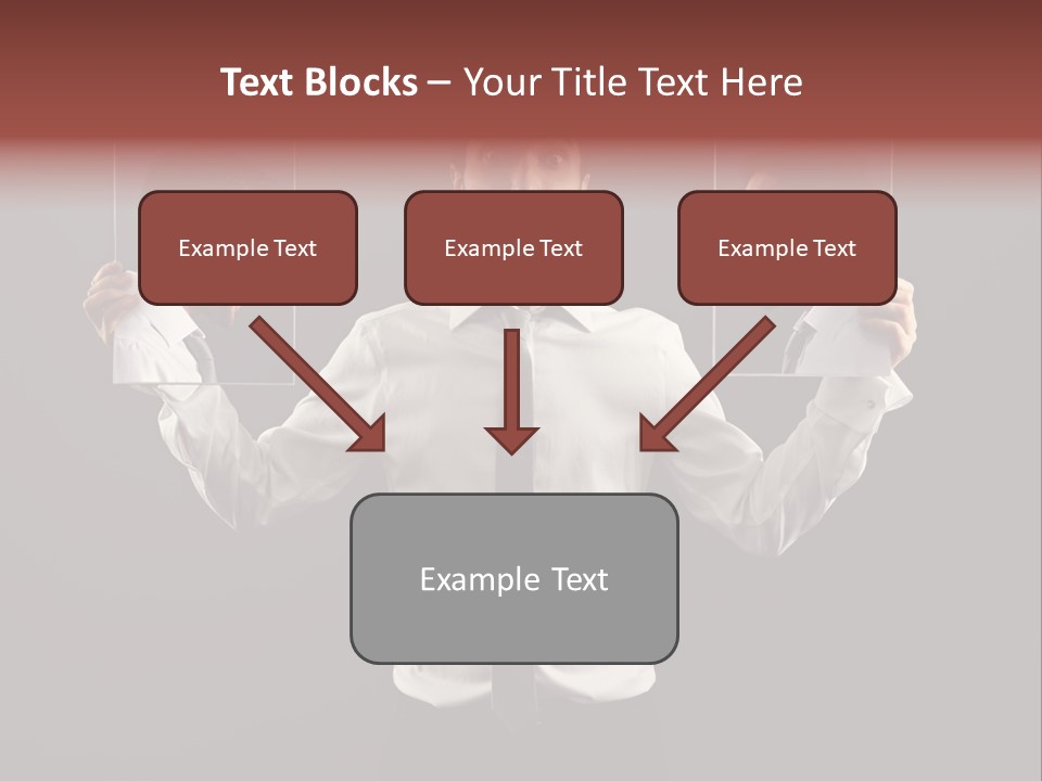 Bird Set Children PowerPoint Template