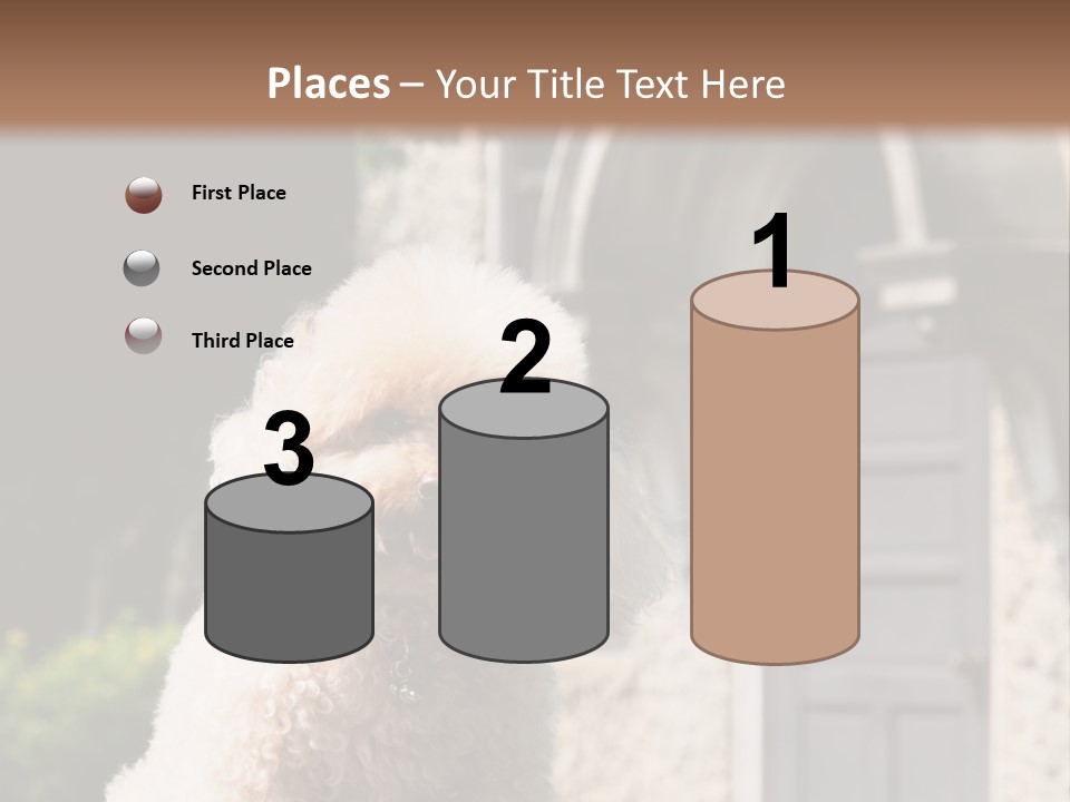 Bird Gift Postage PowerPoint Template