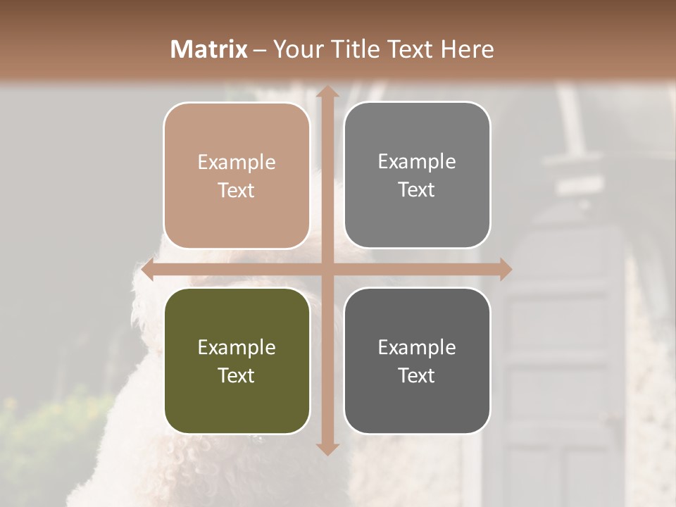 Bird Gift Postage PowerPoint Template