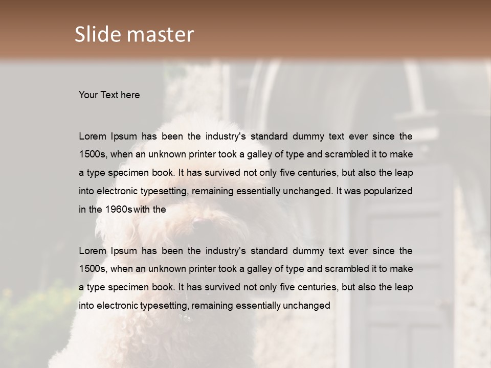 Bird Gift Postage PowerPoint Template