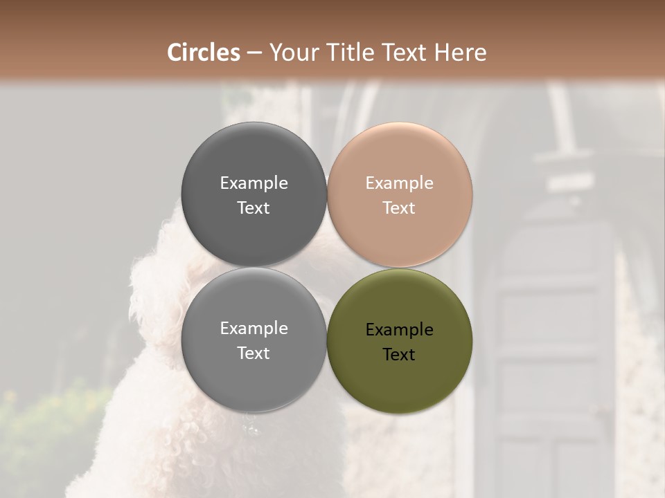 Bird Gift Postage PowerPoint Template