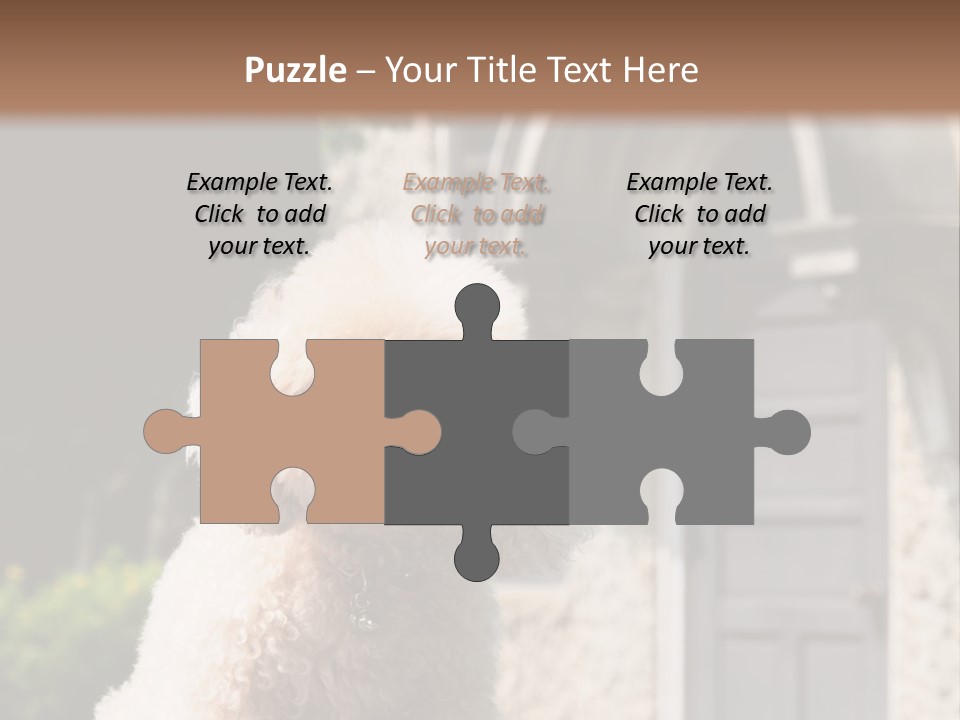 Bird Gift Postage PowerPoint Template