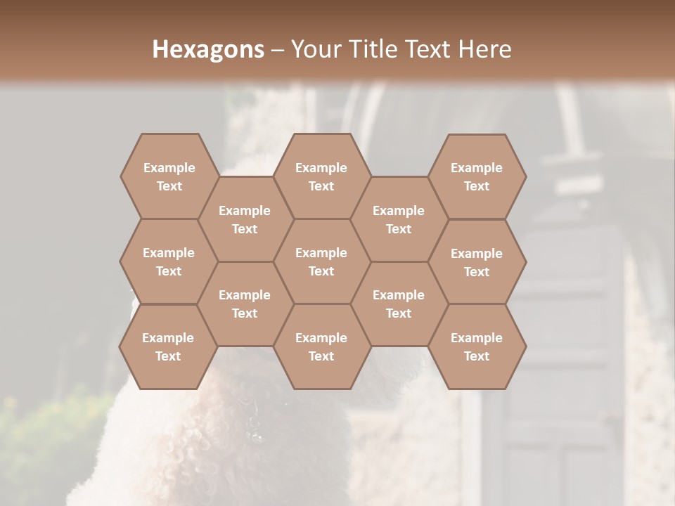 Bird Gift Postage PowerPoint Template