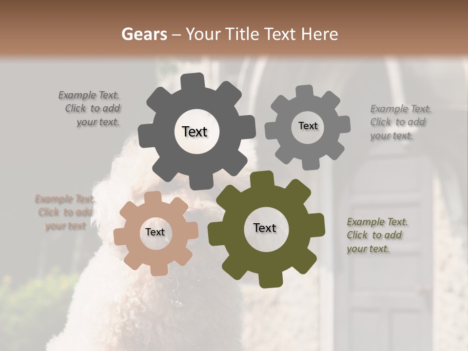 Bird Gift Postage PowerPoint Template