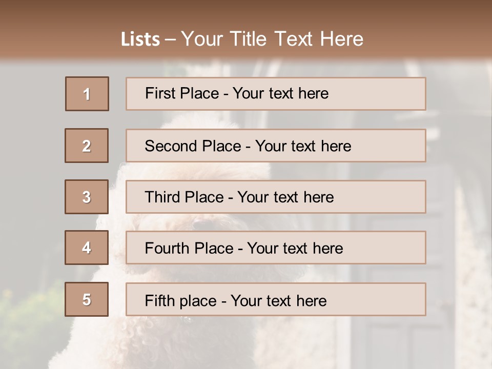 Bird Gift Postage PowerPoint Template