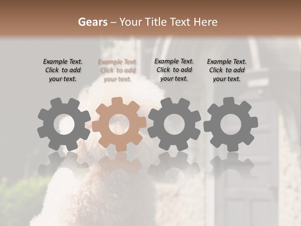 Bird Gift Postage PowerPoint Template