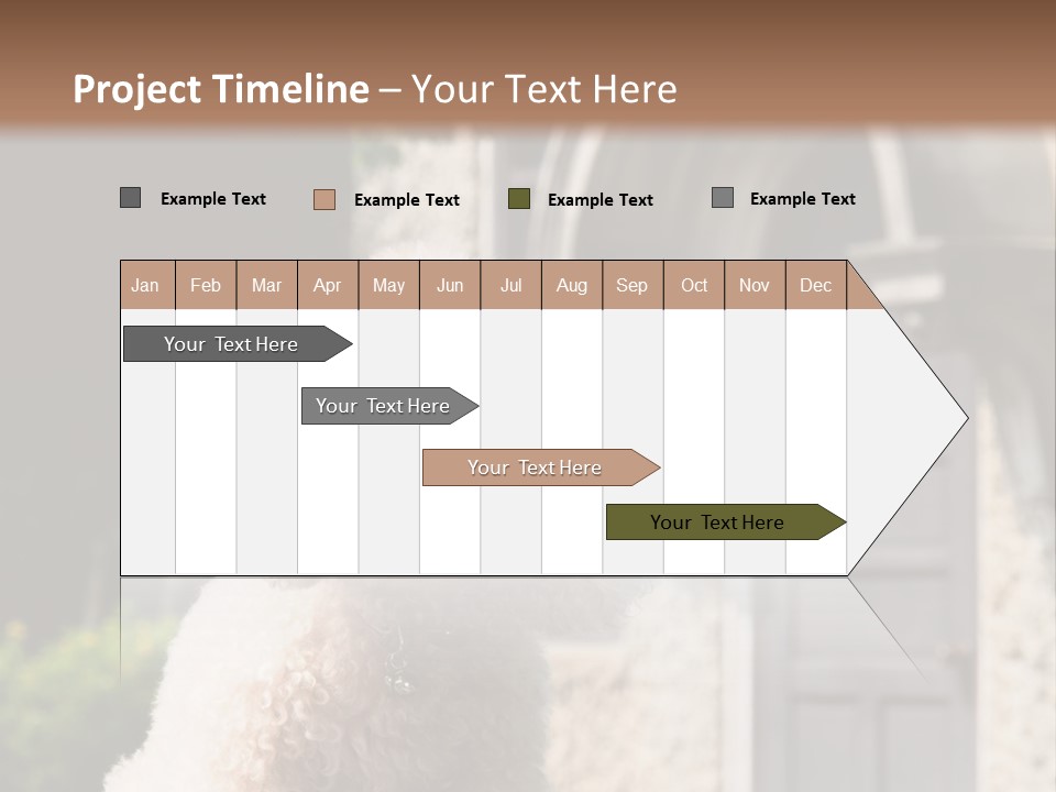 Bird Gift Postage PowerPoint Template