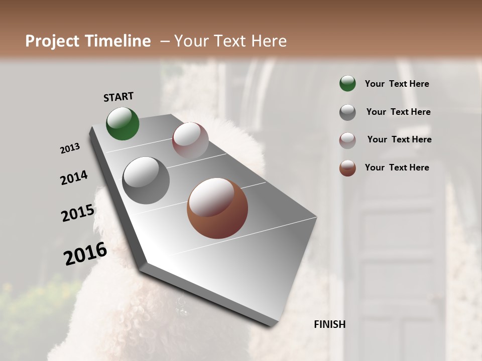 Bird Gift Postage PowerPoint Template
