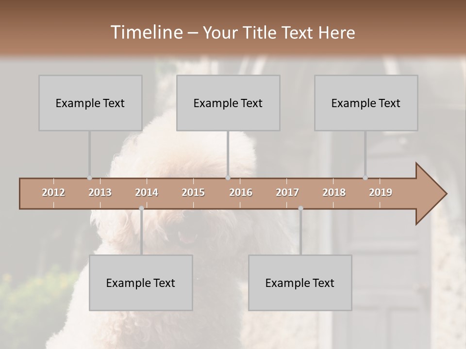 Bird Gift Postage PowerPoint Template
