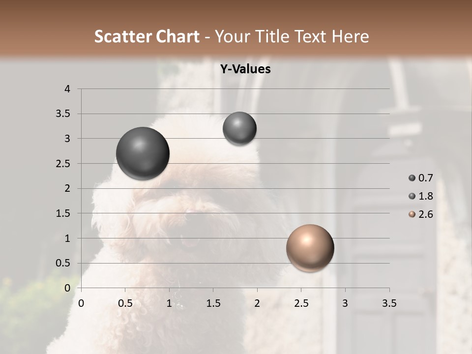 Bird Gift Postage PowerPoint Template