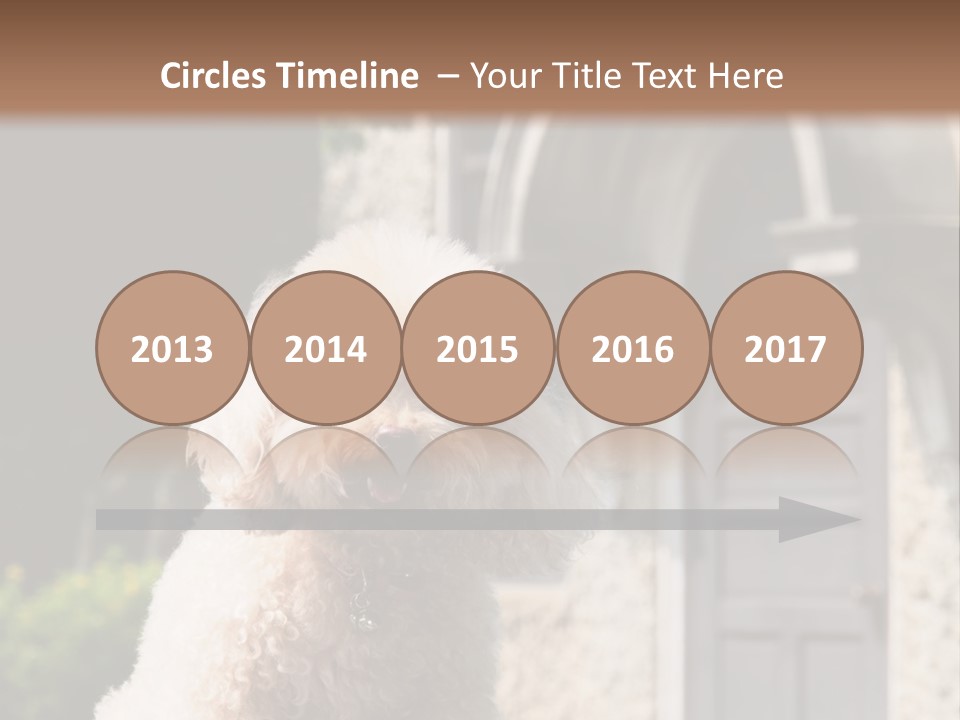 Bird Gift Postage PowerPoint Template