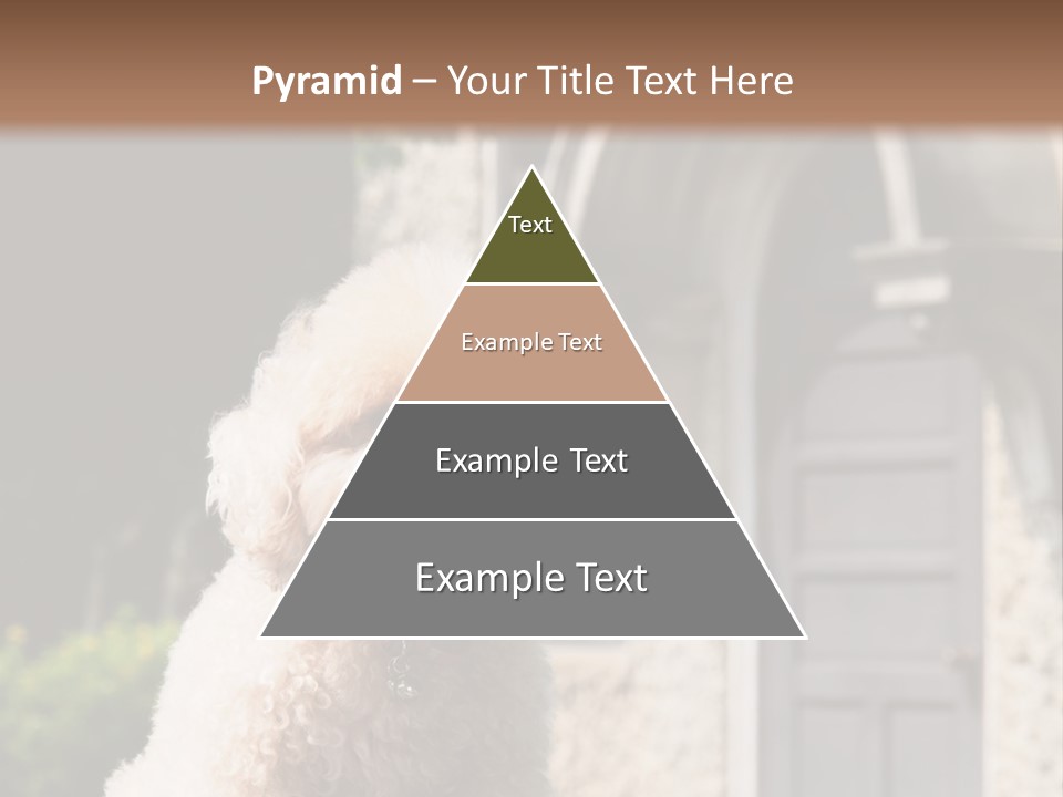 Bird Gift Postage PowerPoint Template