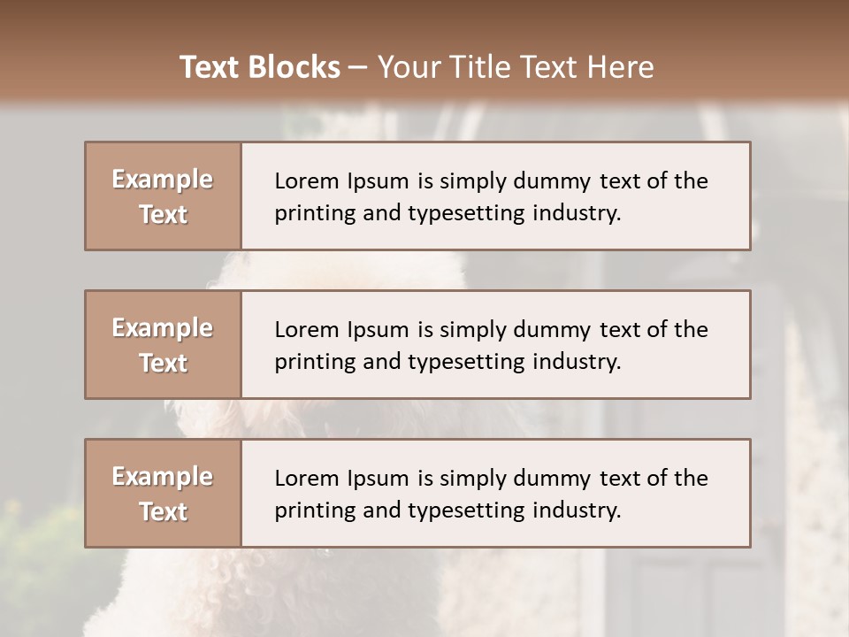 Bird Gift Postage PowerPoint Template