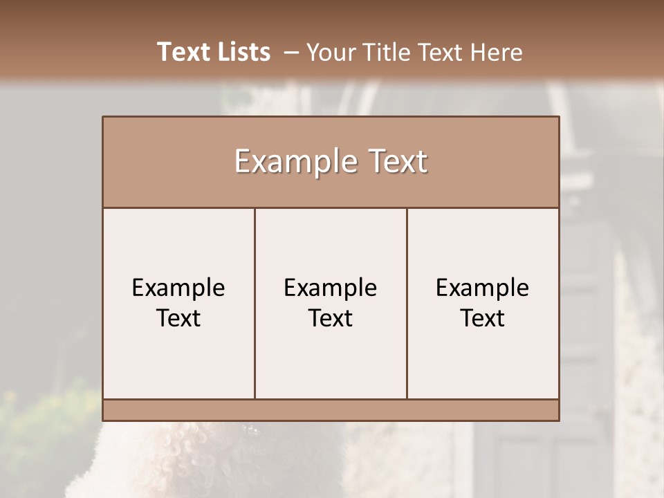 Bird Gift Postage PowerPoint Template
