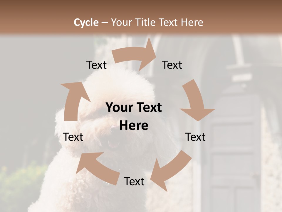 Bird Gift Postage PowerPoint Template