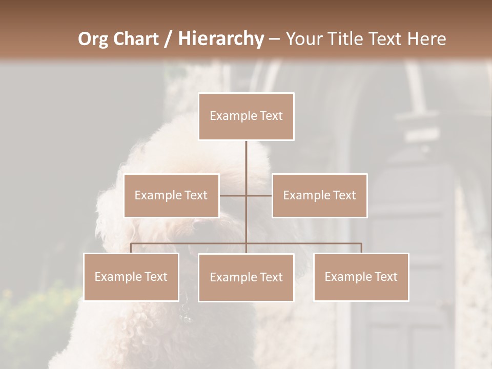 Bird Gift Postage PowerPoint Template