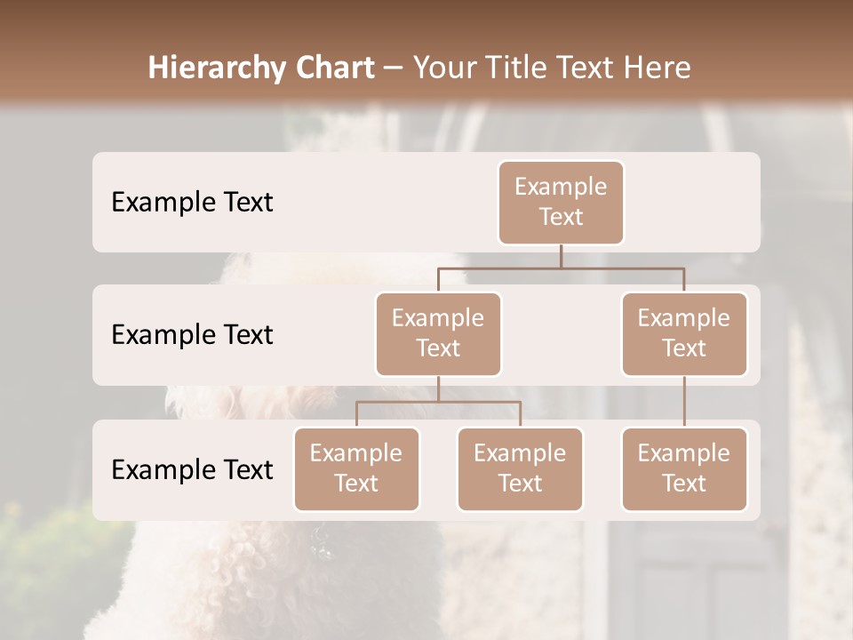 Bird Gift Postage PowerPoint Template