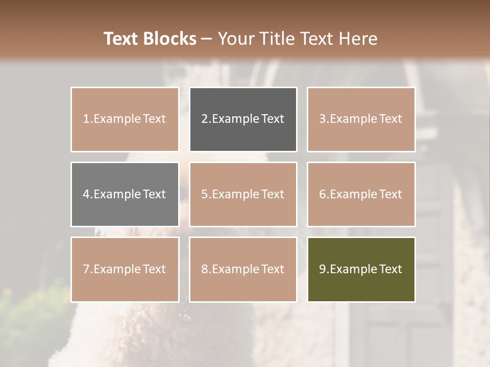 Bird Gift Postage PowerPoint Template