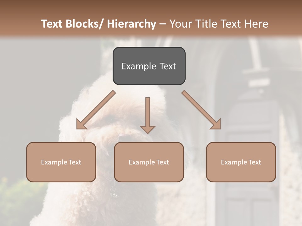 Bird Gift Postage PowerPoint Template