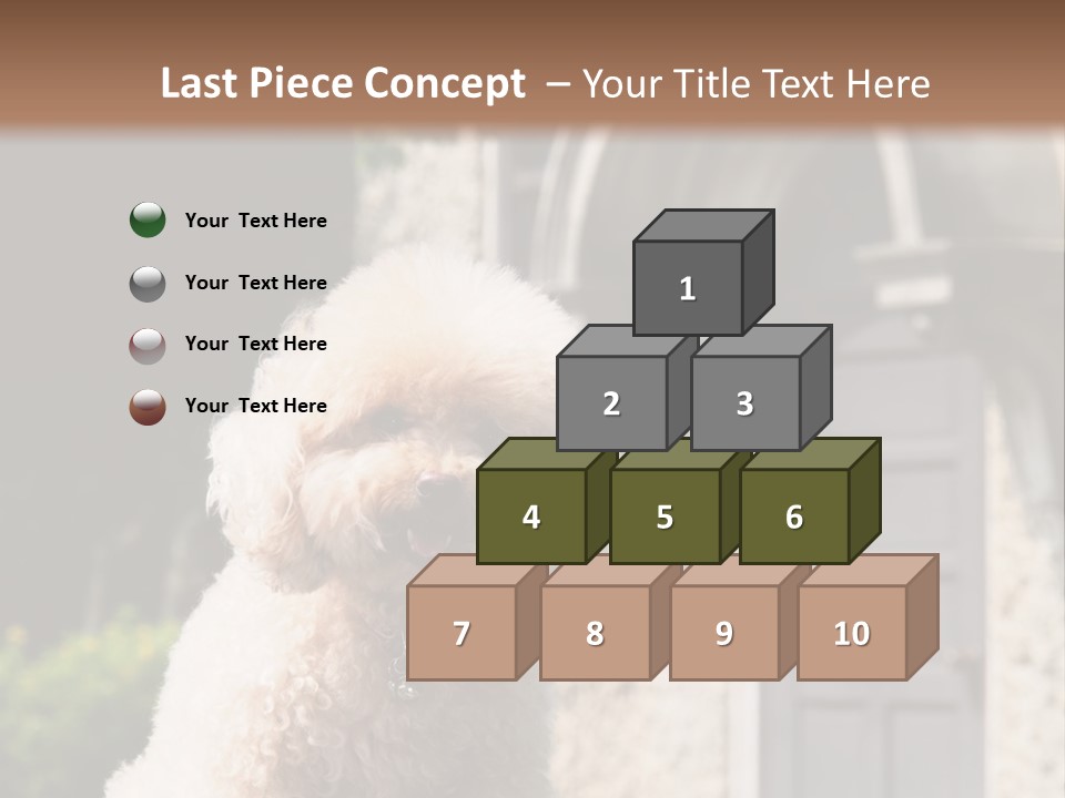 Bird Gift Postage PowerPoint Template