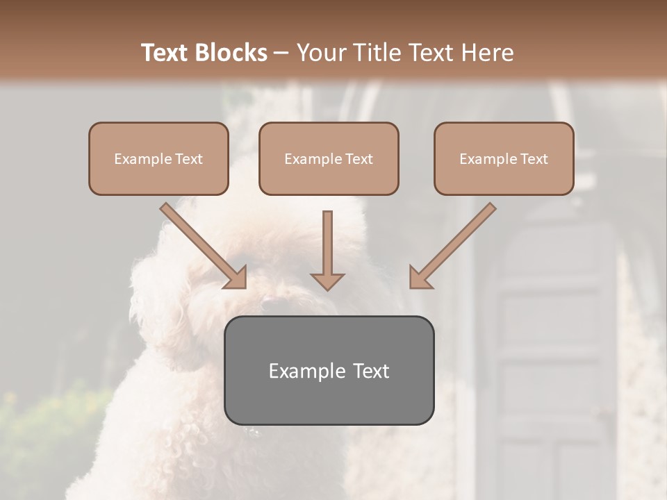 Bird Gift Postage PowerPoint Template