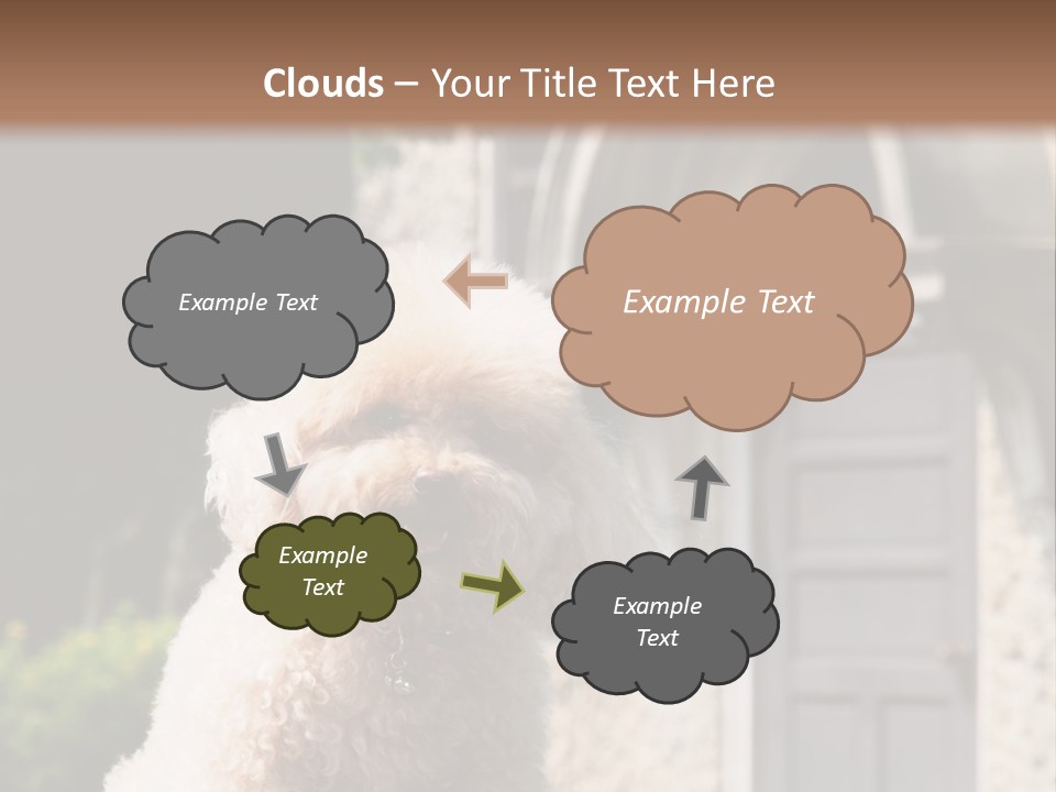 Bird Gift Postage PowerPoint Template