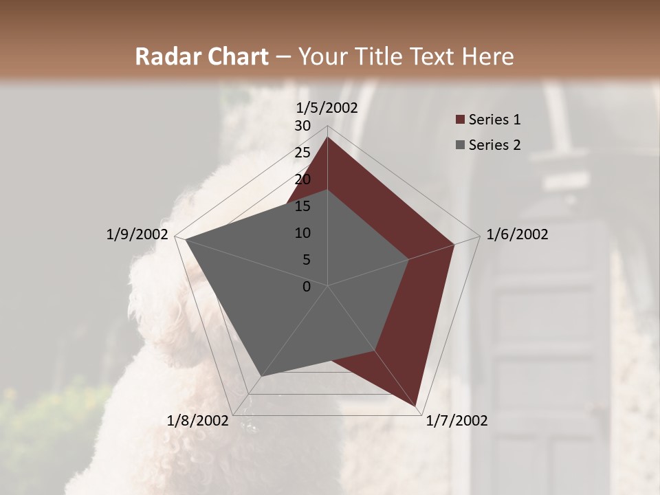 Bird Gift Postage PowerPoint Template