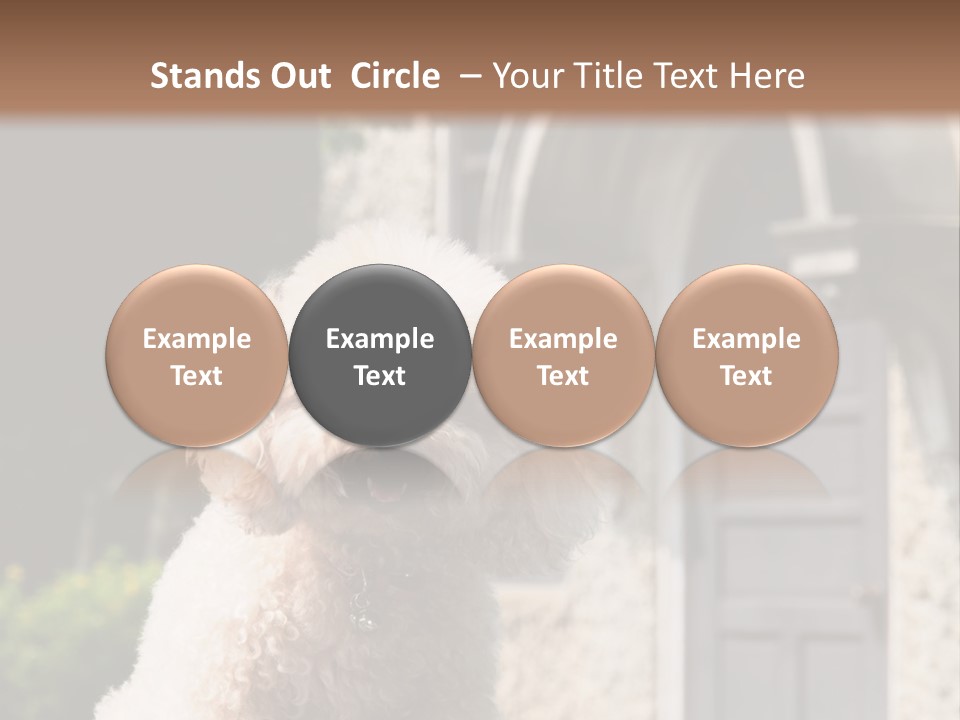 Bird Gift Postage PowerPoint Template